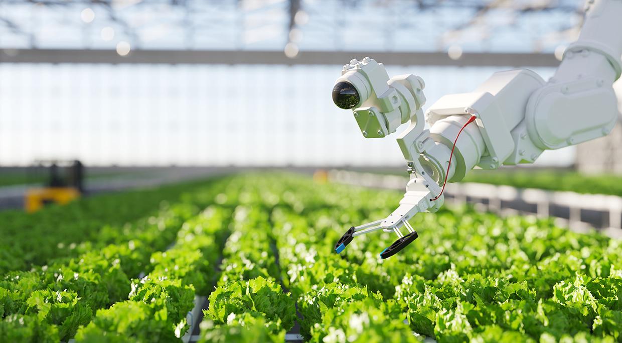 A robotic arm with a camera and precision gripper operates above rows of green leafy crops inside a greenhouse.